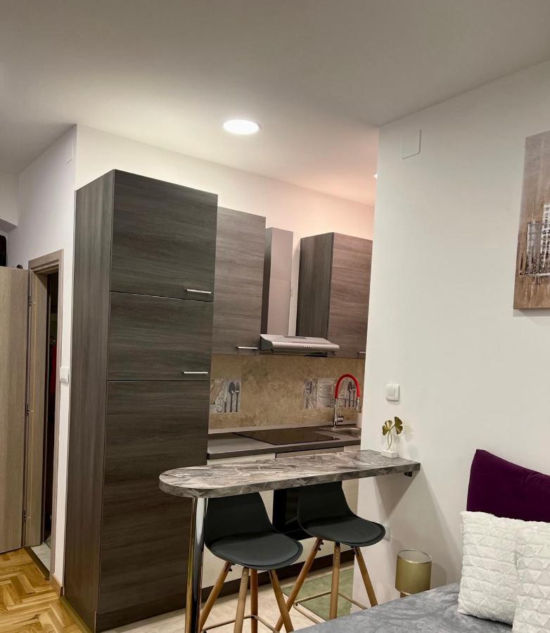 Sweet Studio Apartment Living In Rijeka Exteriör bild